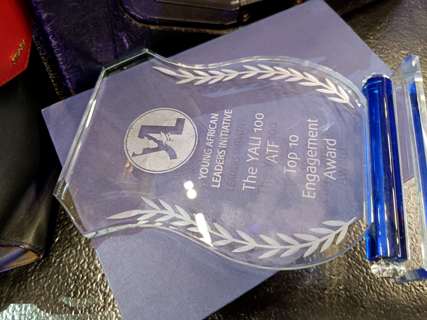 YALI 100 Top 10 Engagement Award